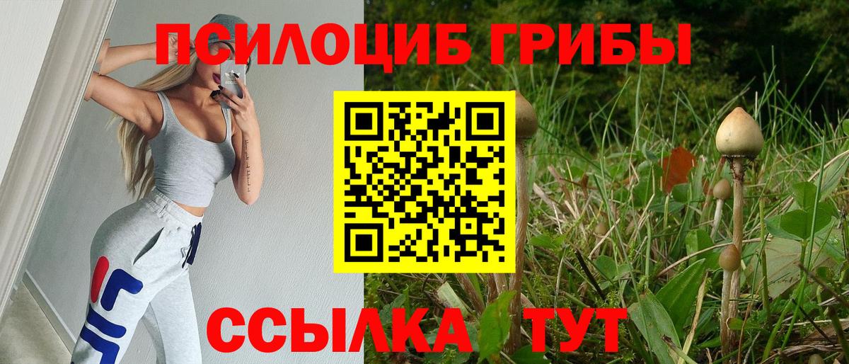 Псилоцибиновые грибы мухоморы  Вход с VPN  Псилоцибиновые грибы MAGIC MUSHROOMS  Ставрополь 